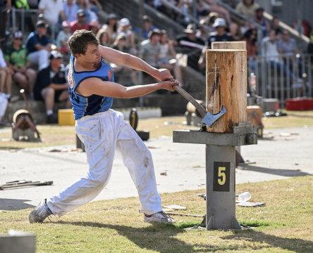 Woodchopping & Sawing Competition - Standing Block