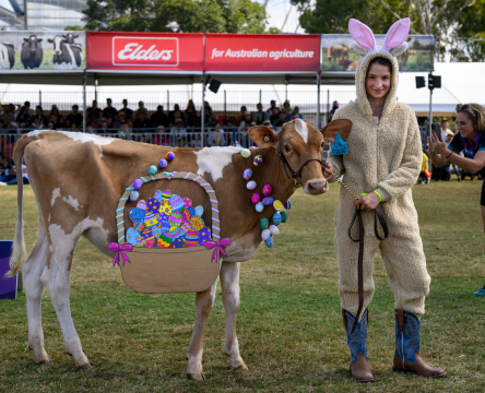 Sydney Royal Dairy Cattle Calf Fancy Dress