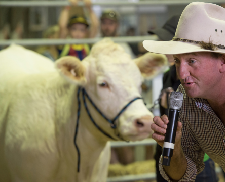 Sydney Royal Dairy Cattle Hand Milking Competition
