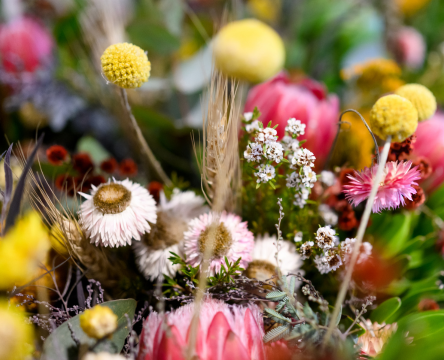 Flower & Garden Shop