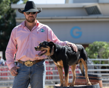 Murray Wilkinson and His Working Yard Dogs