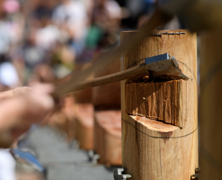 Paul Bunyan Lumberjack Show