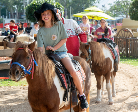 Pony Rides