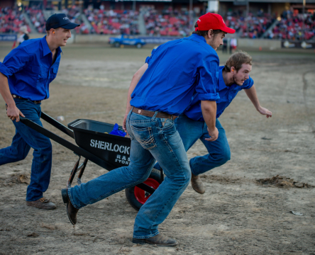 RAS NSW Young Farmer Challenge State Final
