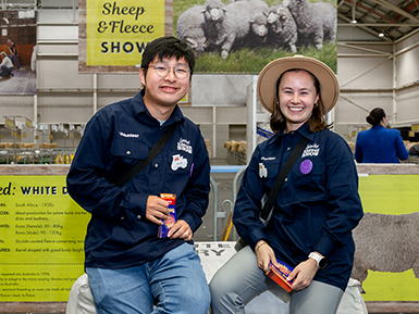 Students and young volunteers