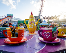 Royal Tea Cups