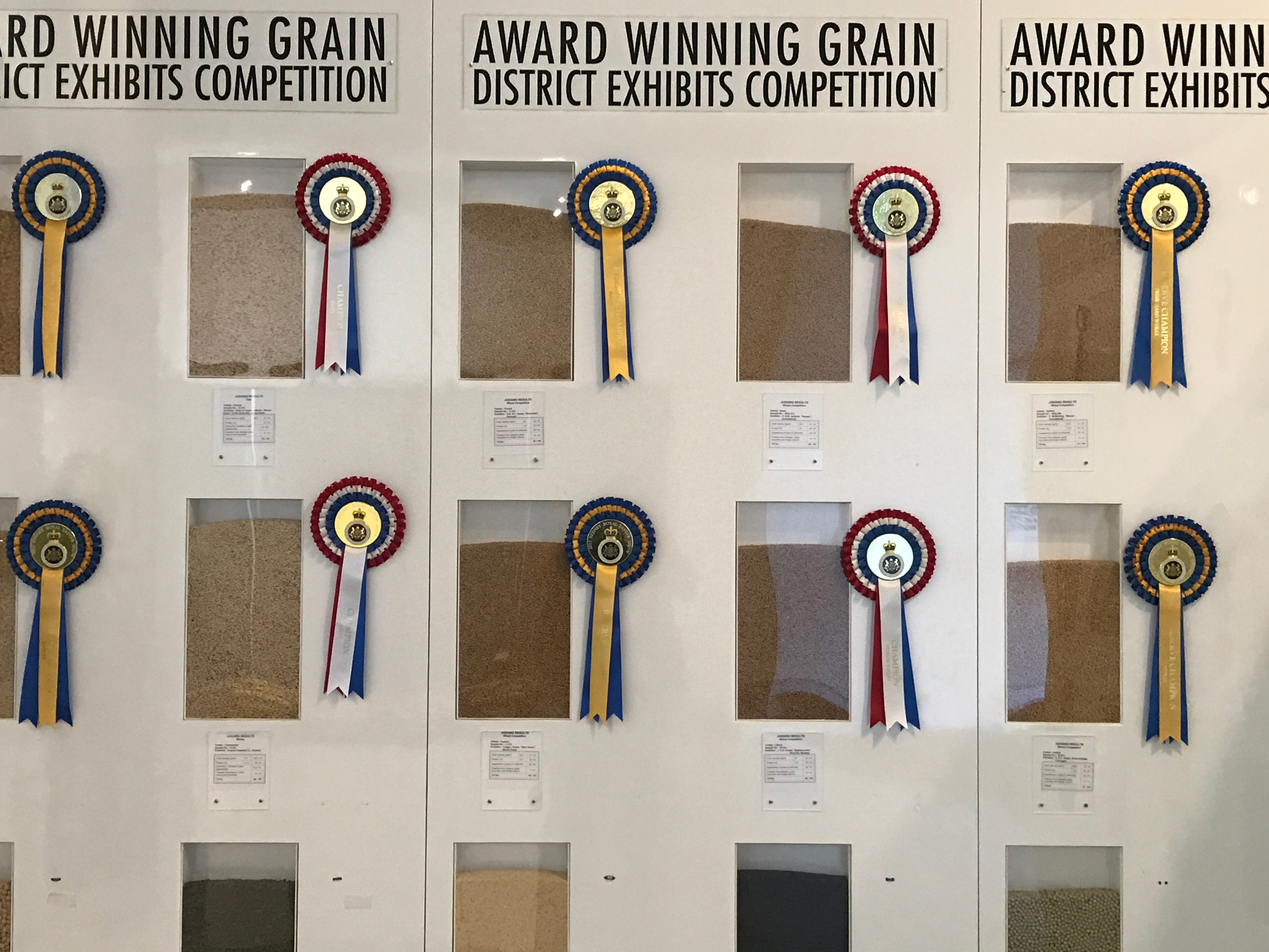 Champion Grain and Fleece Displays