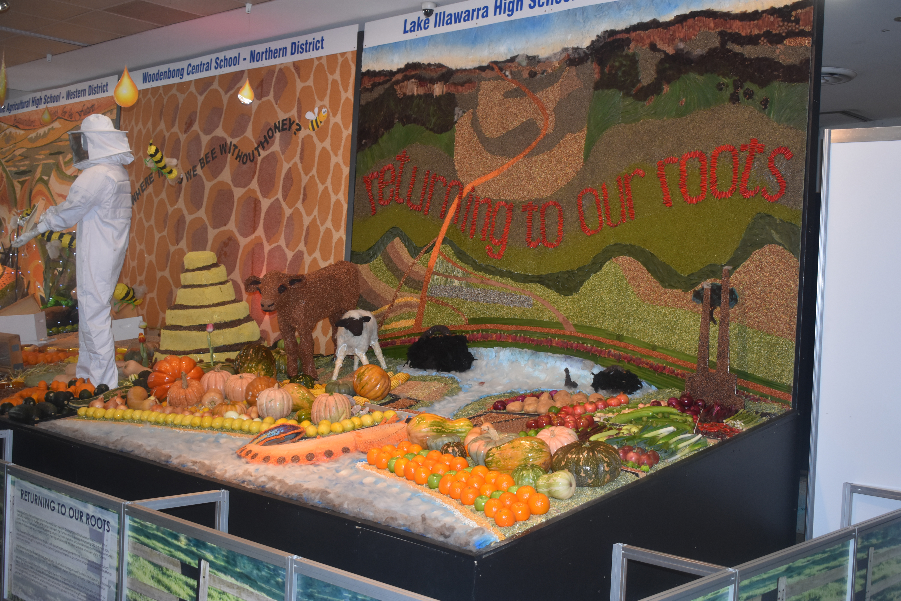 Sydney Royal Schools District Exhibits