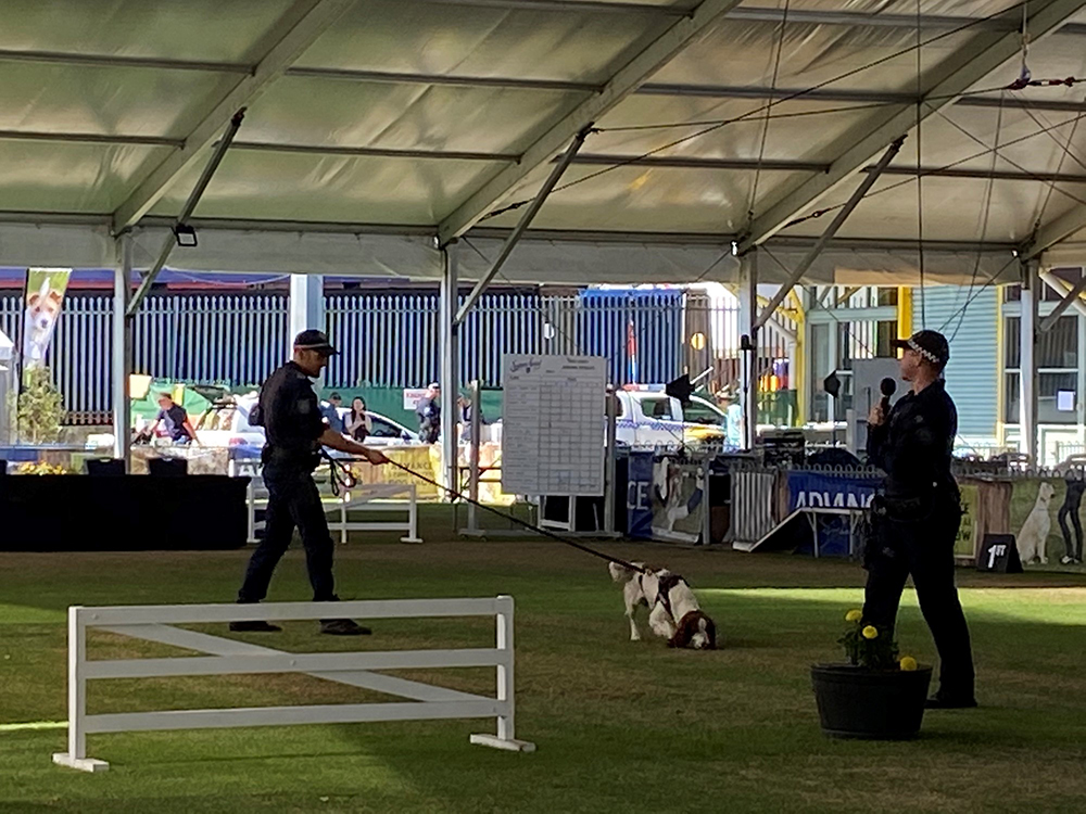 Police Dog Demonstration