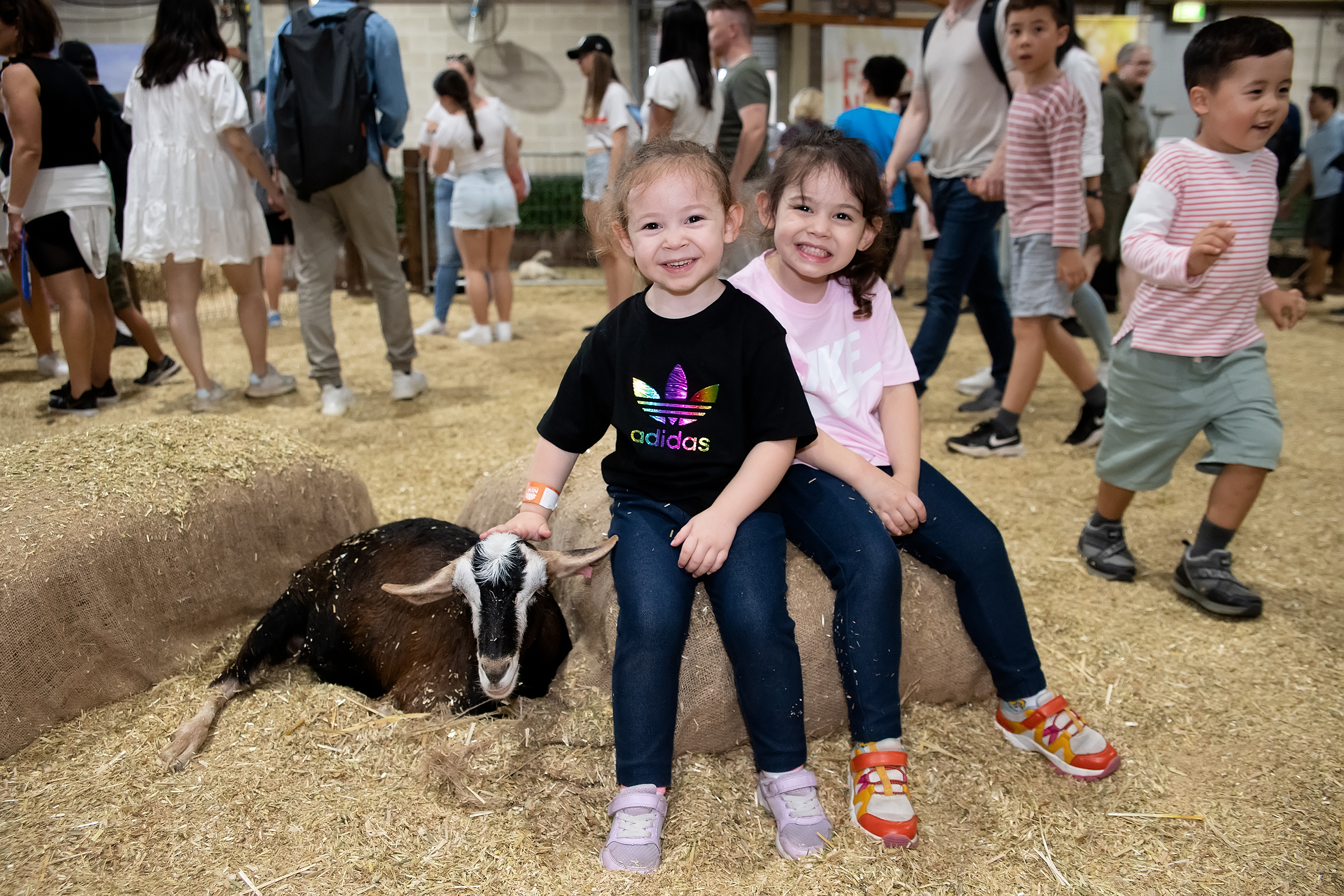 Farmyard Nursery