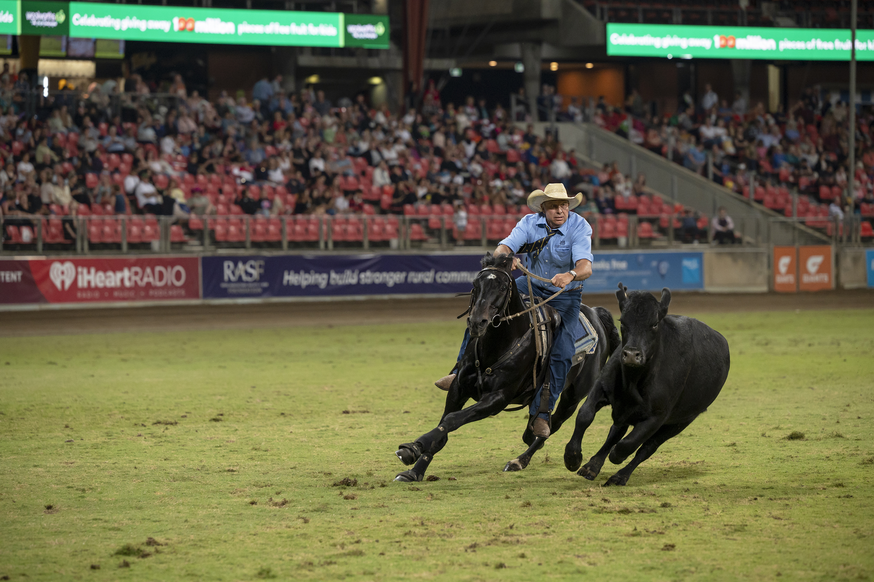 World Championship Campdraft
