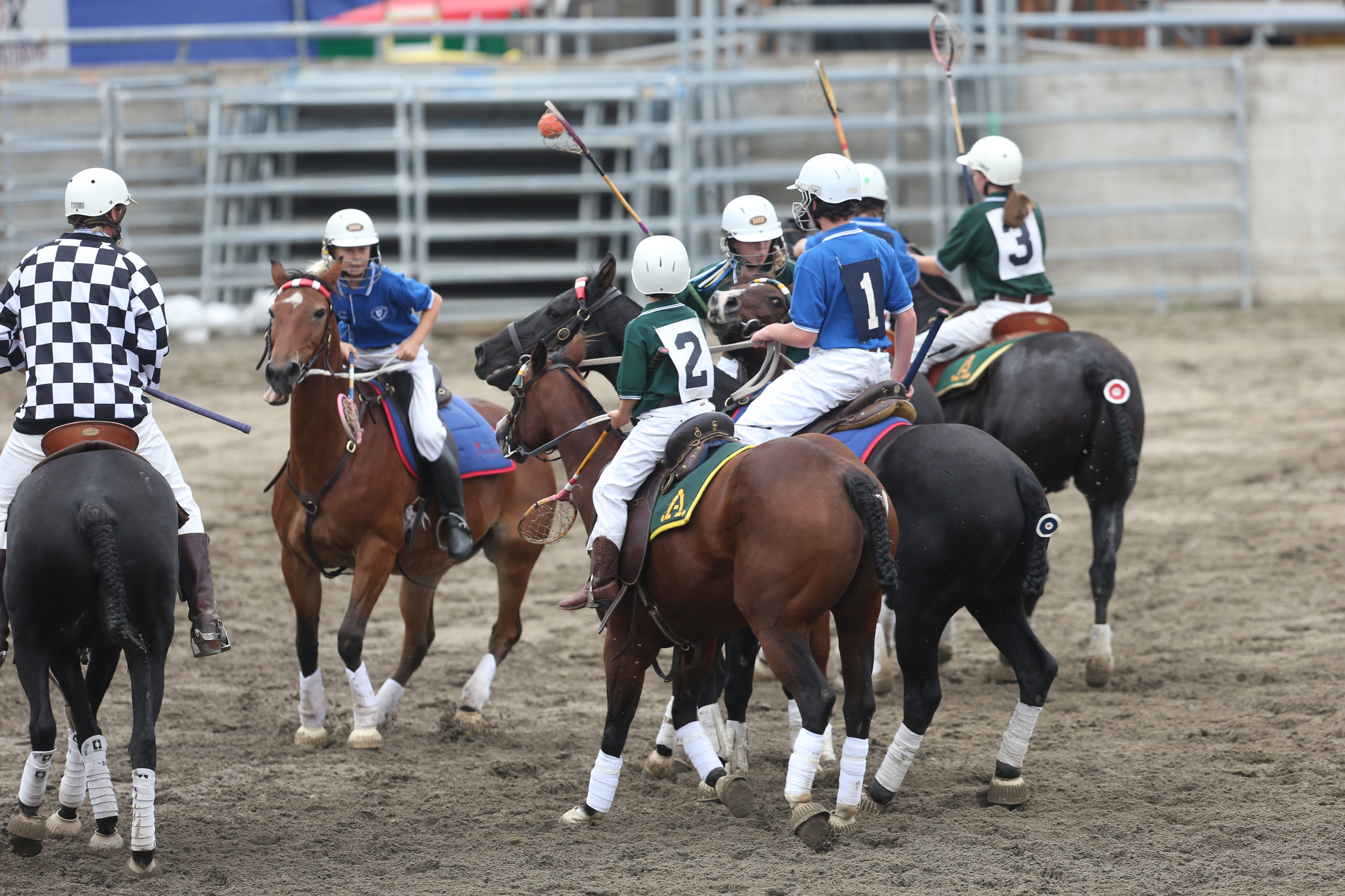Sydney Royal Horse Show: Youth Polocrosse