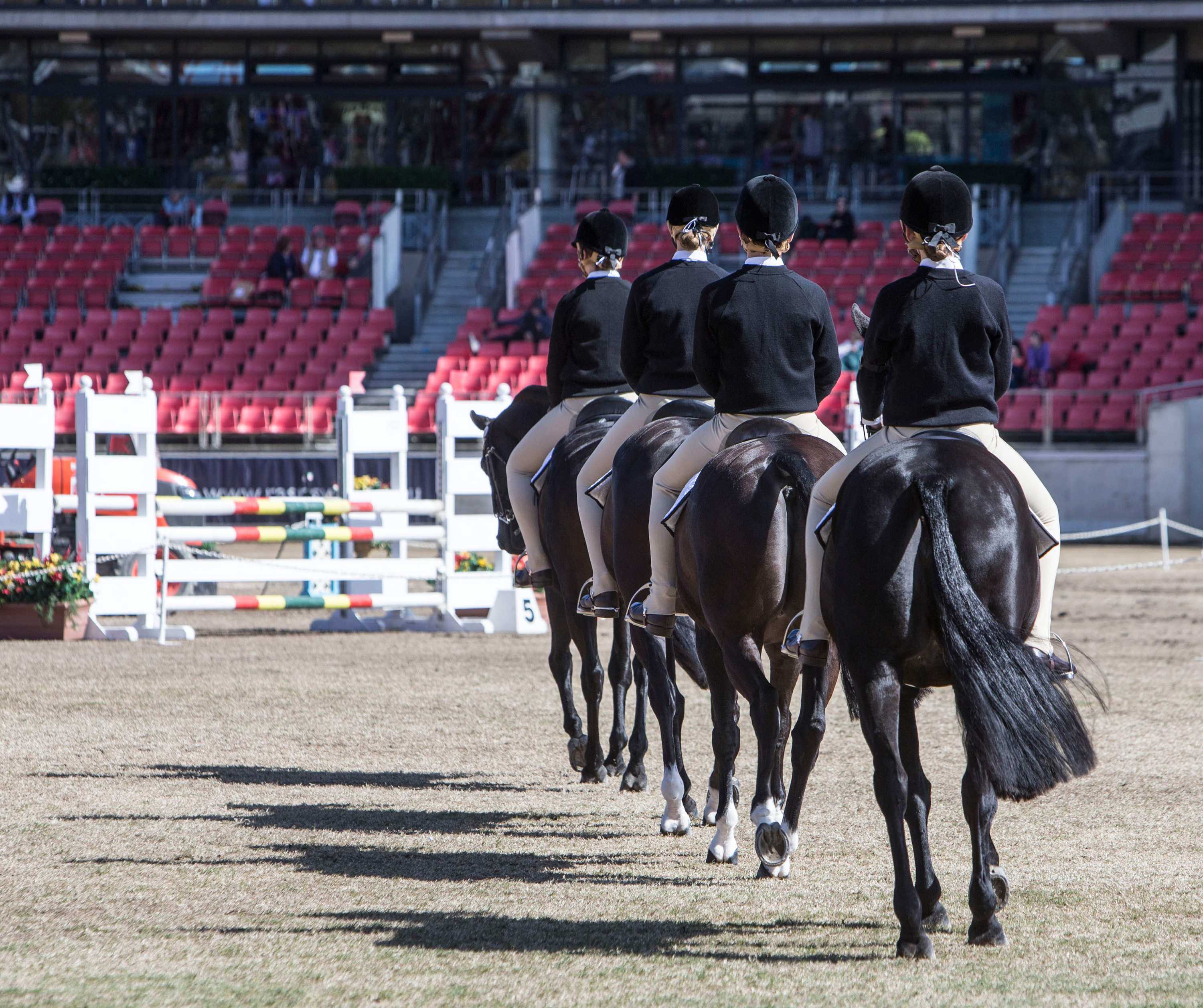Sydney Royal Horse Show: Pony Club Events