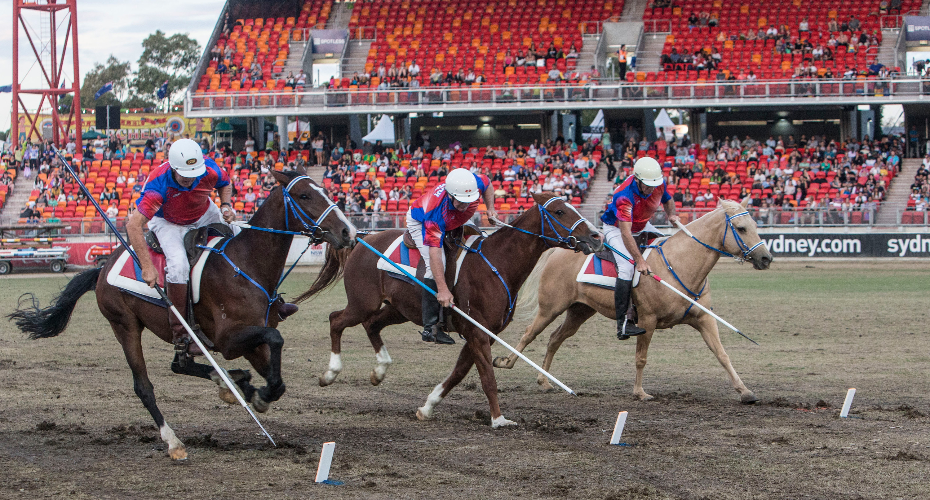 Sydney Royal Horse Show: Tentpegging