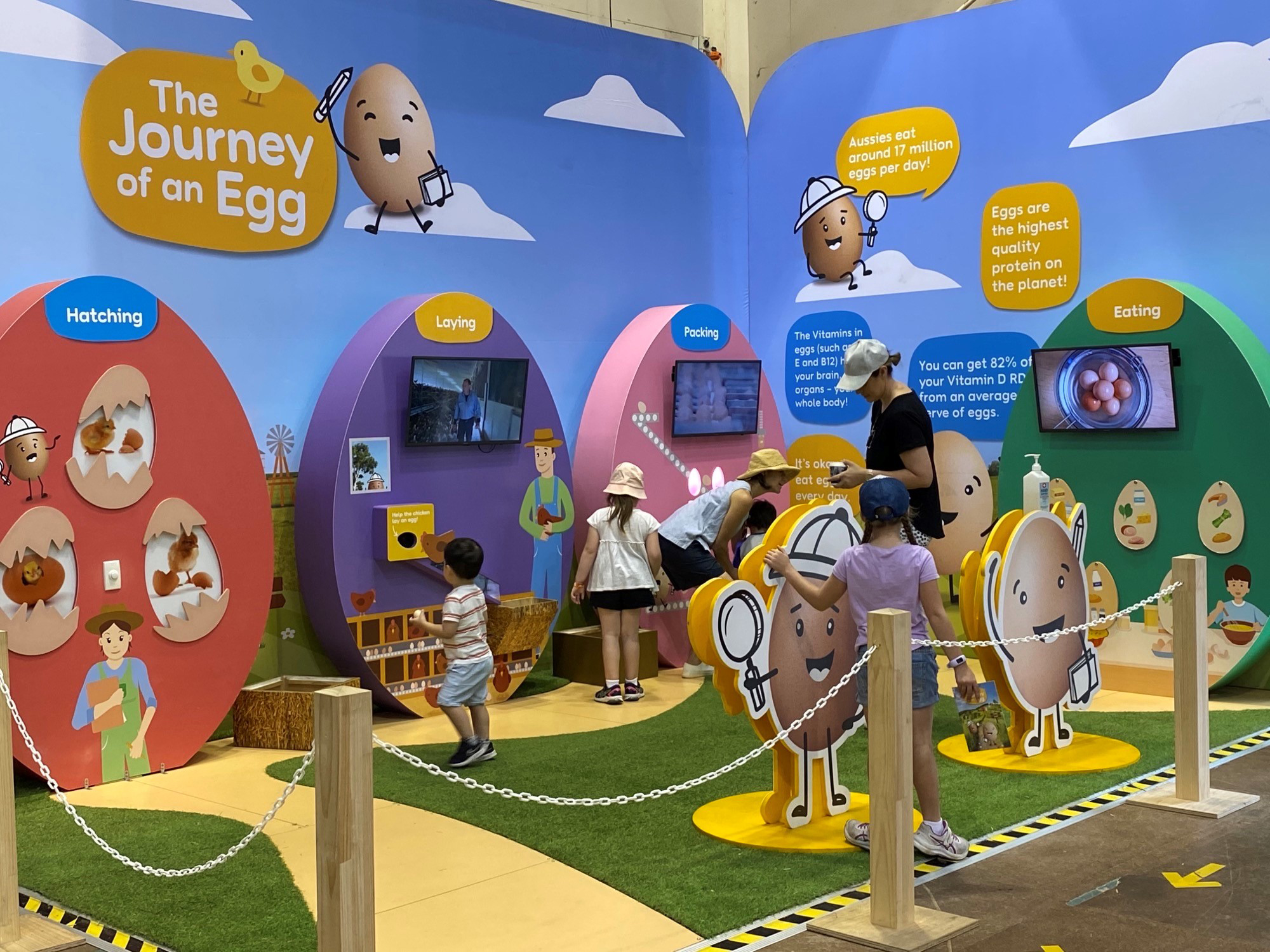 The Journey of an Egg