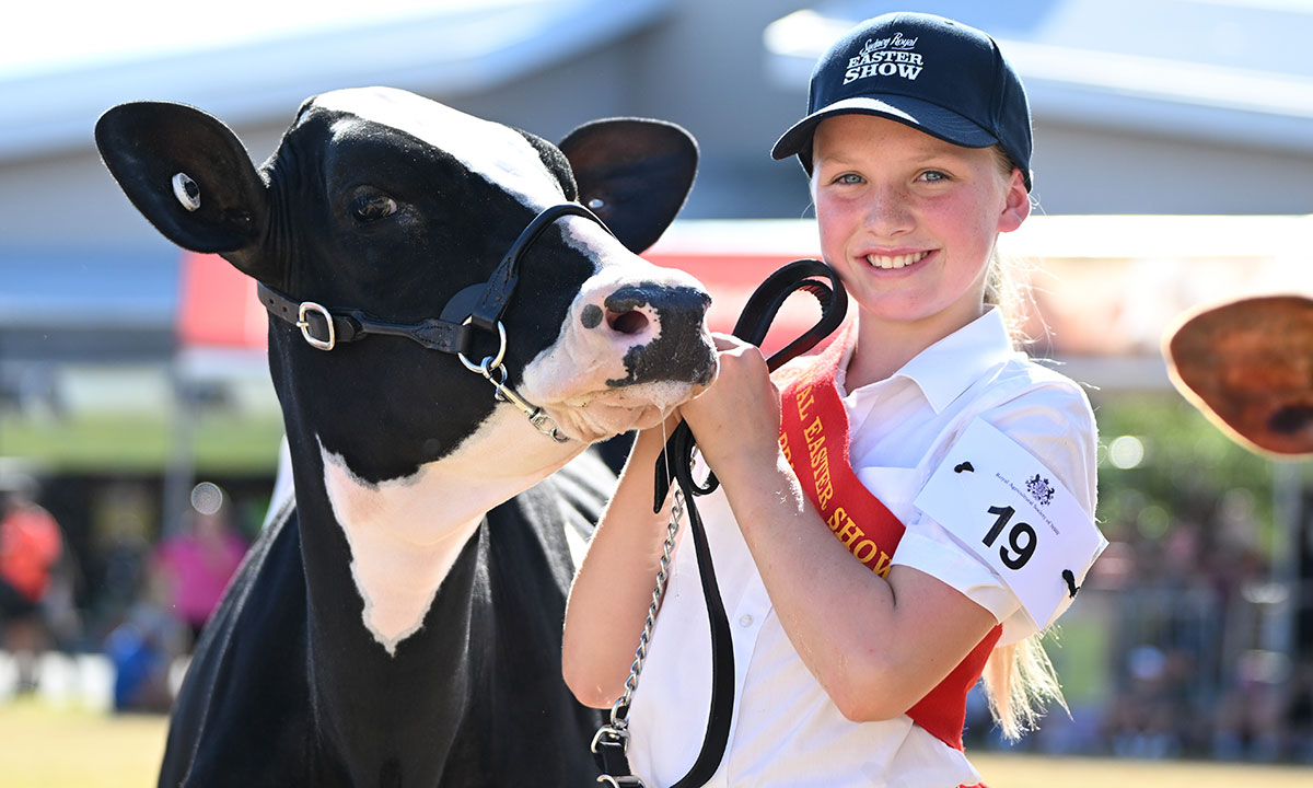 A young show participant smiling while holding a dairy cow during a cattle judging event at the Sydney Royal Easter Show.
