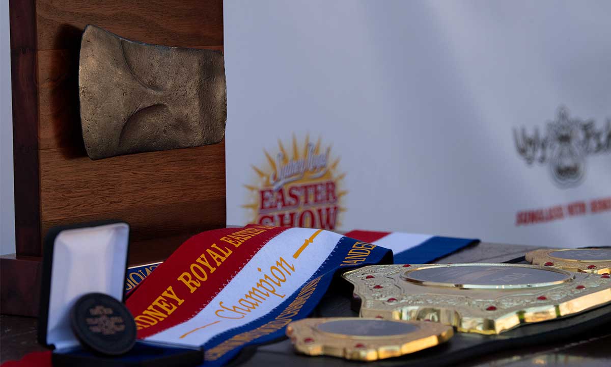 Two young girls smiling while holding colourful ice creams in front of a game stall at the Sydney Royal Easter Show.