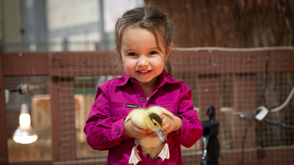 SRES_Save-the-date-Image