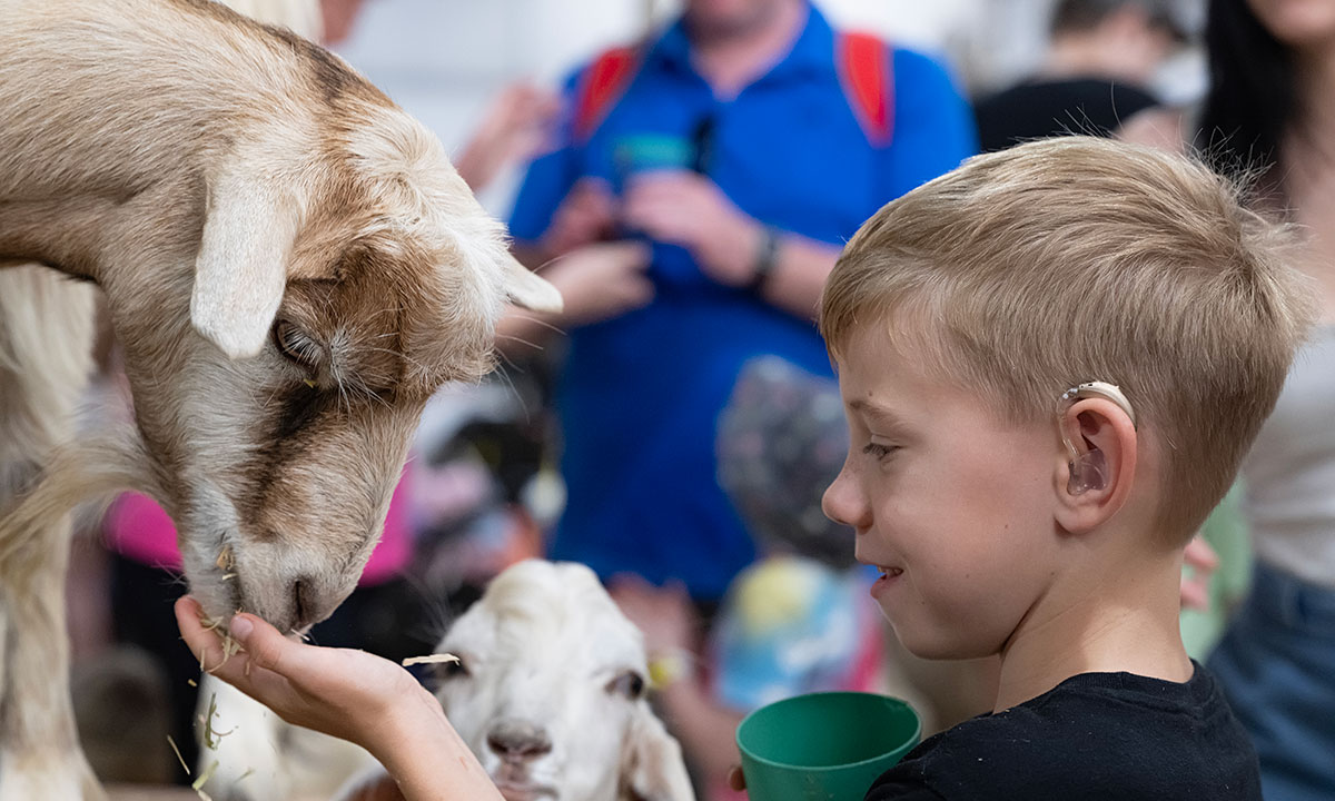 Farmyard Nursery at Sydney Royal Easter Show
