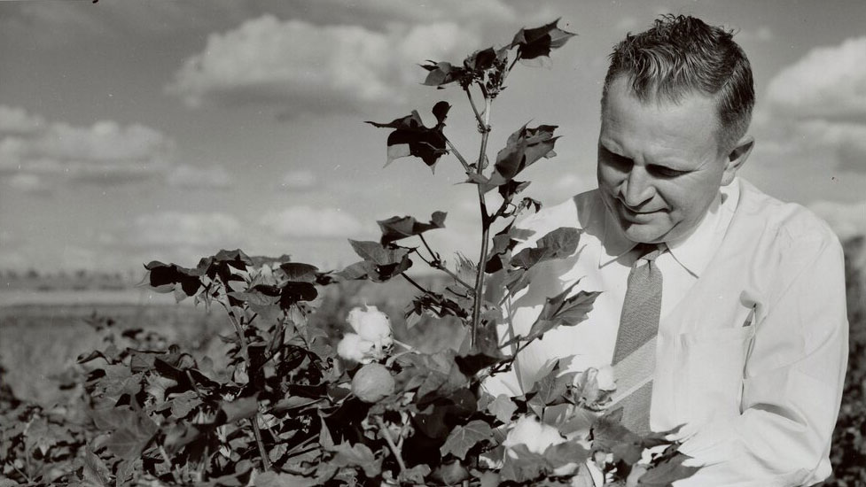 SRES_Save-the-date-Image