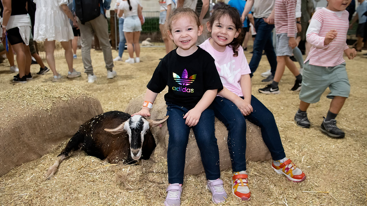 Face-to-face with animals