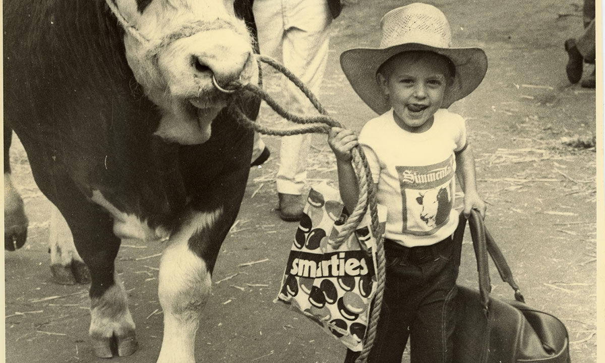 Showbag Fever: A Century of Sweet Surprises