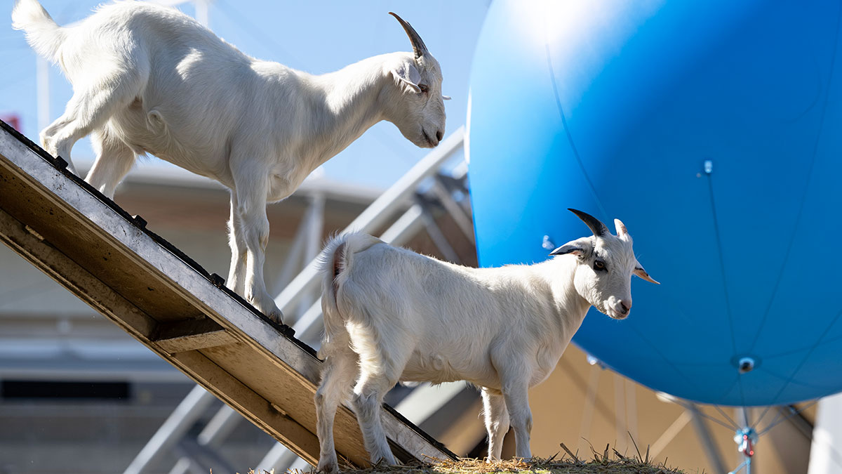 SRES_Save-the-date-Image