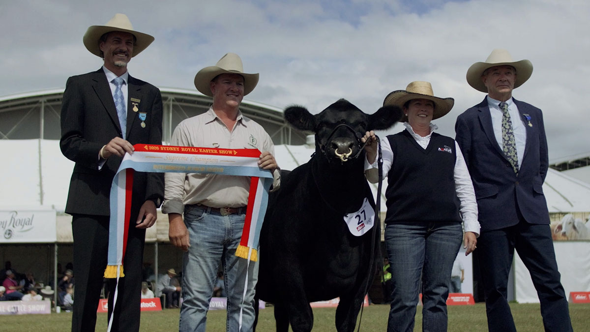 SRES_Save-the-date-Image