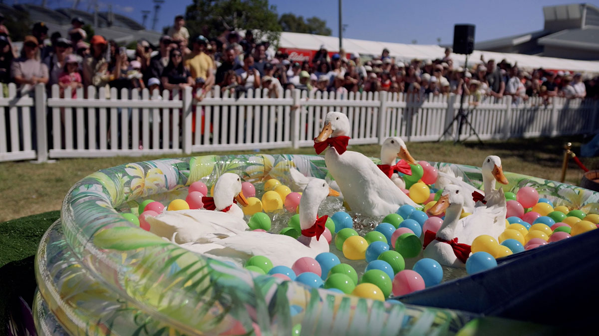 SRES_Save-the-date-Image