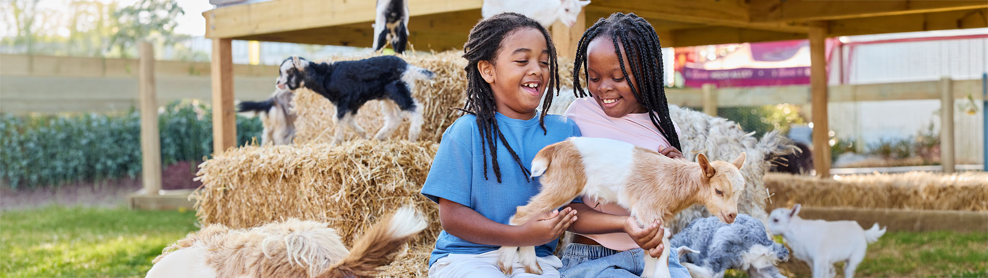 Animal Lovers’ Itinerary