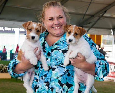 ADVANCE™ Sydney Royal Dog Show Best Baby Puppy in Show