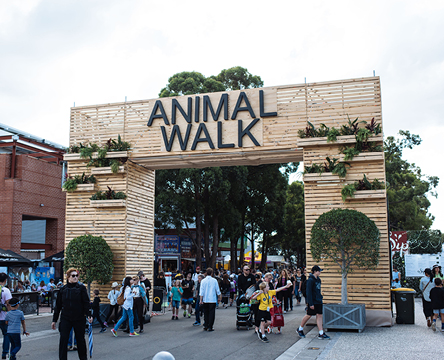 Animal Walk