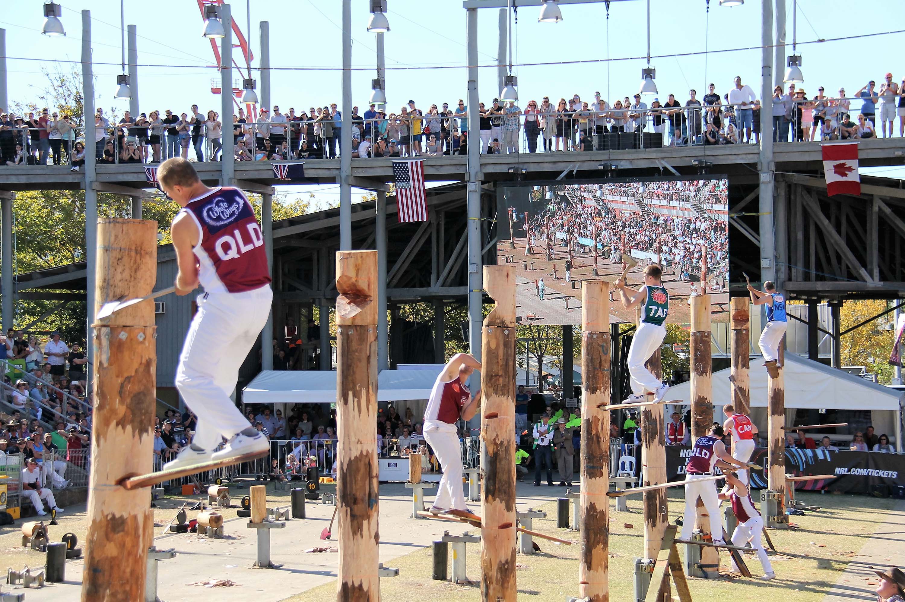 Woodchopping & Sawing Competition - Tree Felling