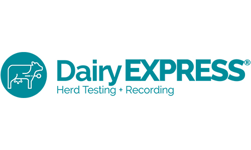 Dairy Express - Cattle