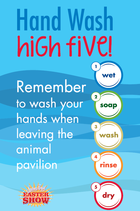 Hand Wash high five 1.png