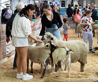 SRES_Hands-on-activations_Section-2_Image-Block-2